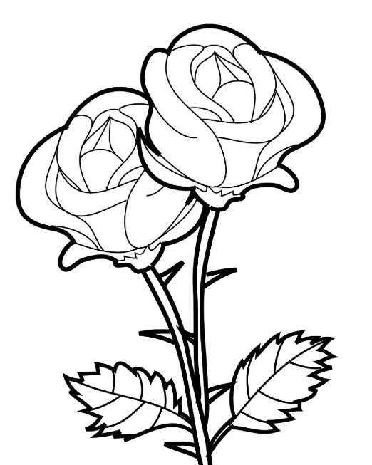 Detail Gambar Bunga Hitam Putih Untuk Diwarnai Nomer 17