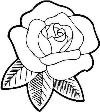 Gambar Bunga Hitam Putih Yang Cantik - KibrisPDR