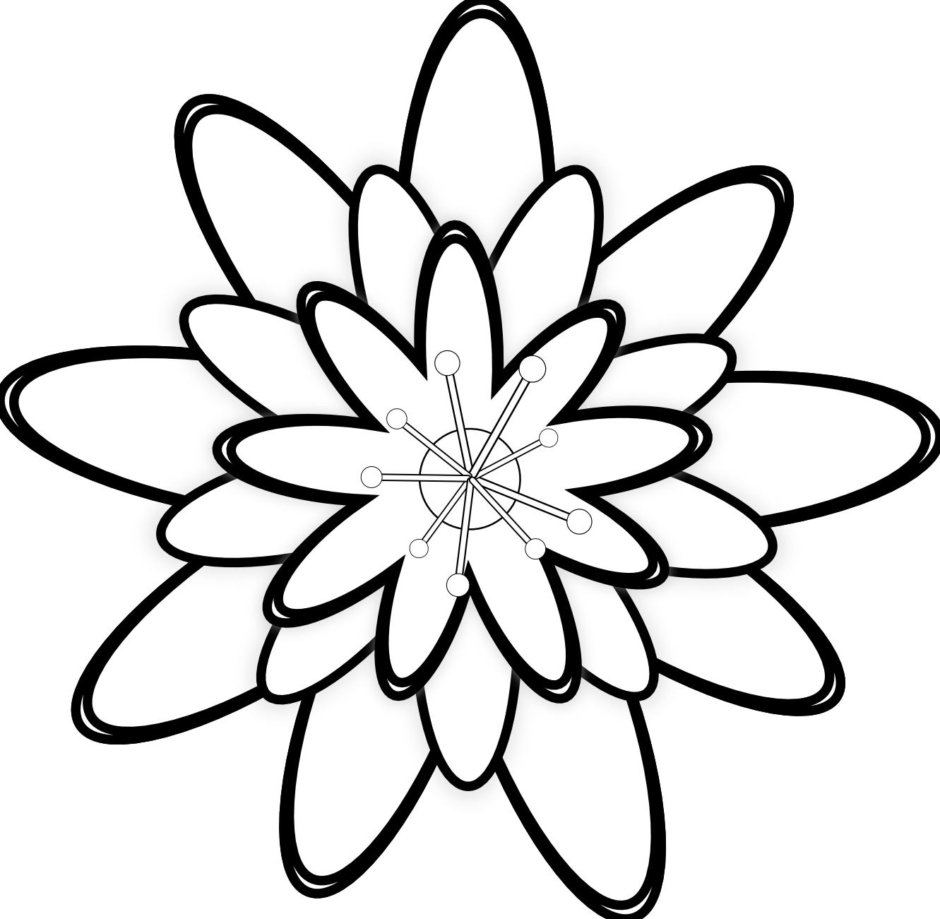 Detail Gambar Bunga Hitam Putih Yang Cantik Nomer 18
