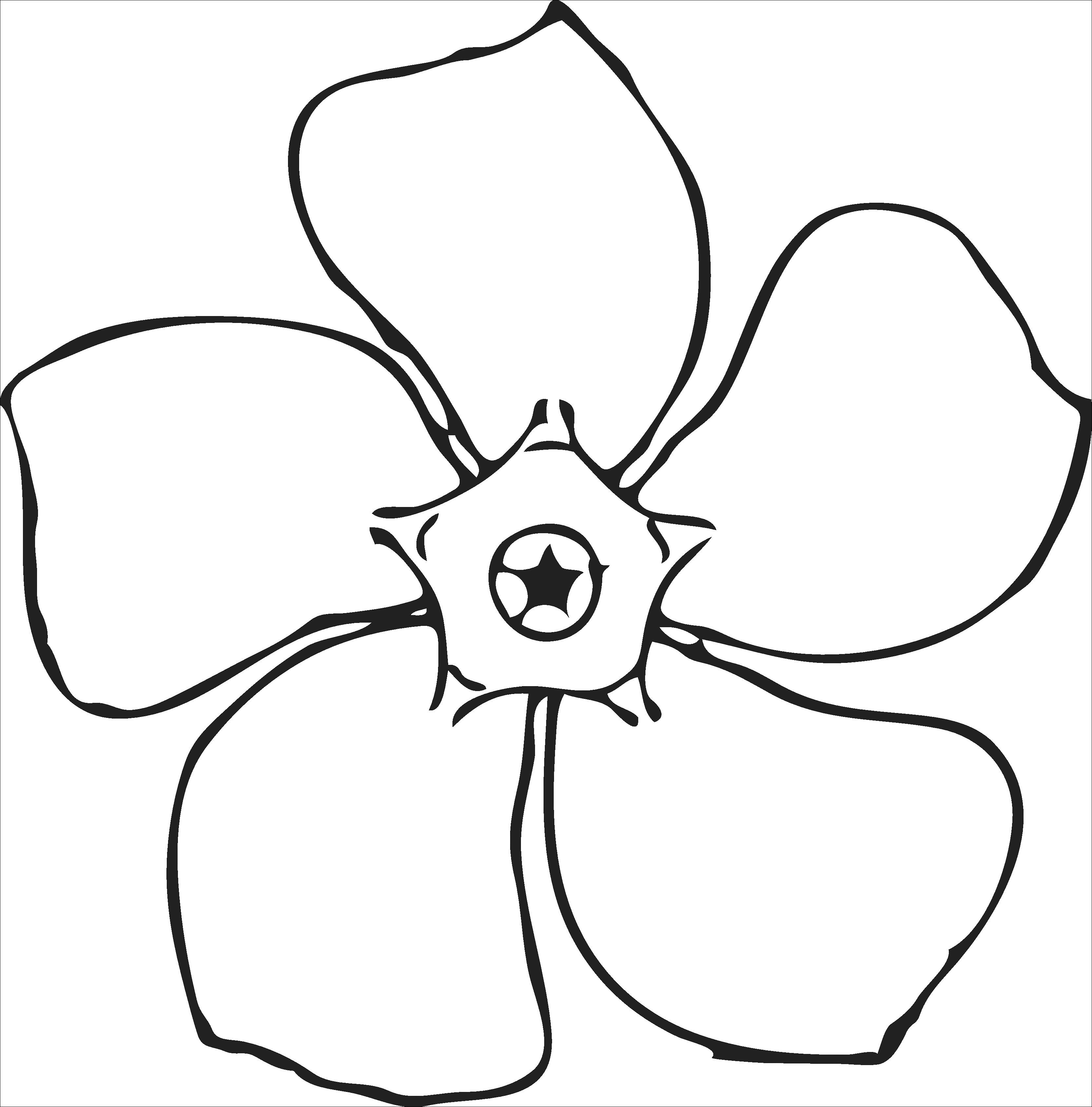 Detail Gambar Bunga Hitam Putuh Nomer 14