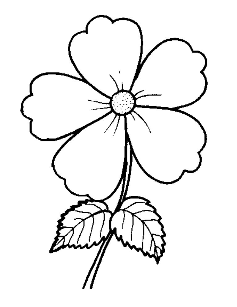 Detail Gambar Bunga Hitam Putuh Nomer 36