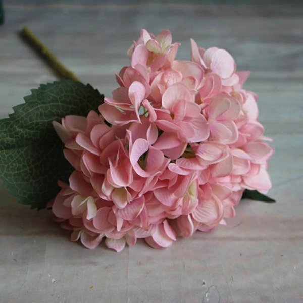 Detail Gambar Bunga Hortensia Pink Nomer 41