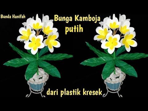 Detail Gambar Bunga Kamboja Dari Botol Plastik Nomer 3