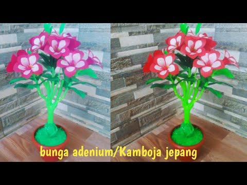 Detail Gambar Bunga Kamboja Dari Botol Plastik Nomer 20