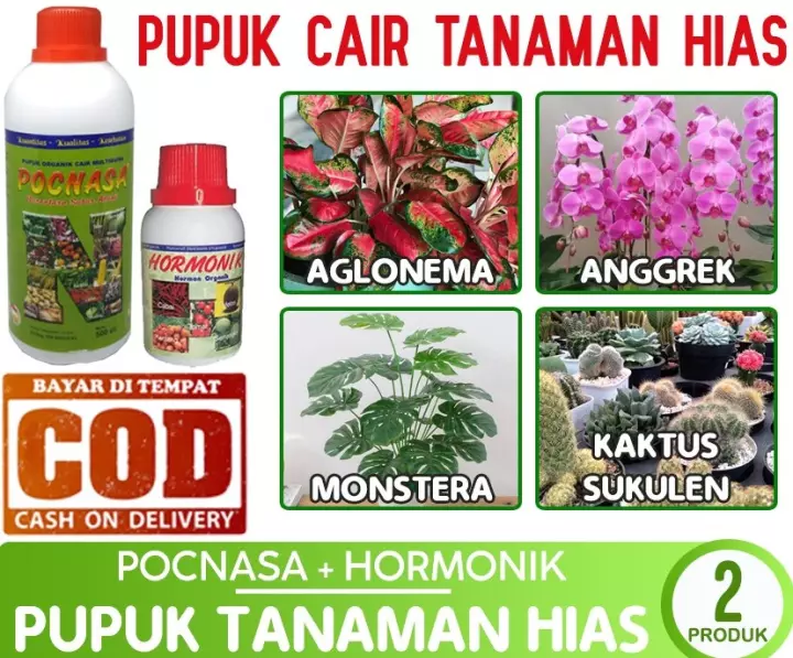 Detail Gambar Bunga Kamboja Dari Botol Plastik Nomer 54