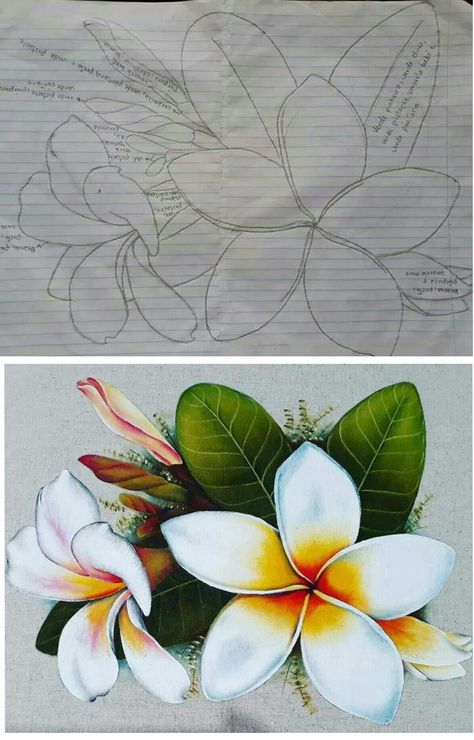 Detail Gambar Bunga Kamboja Dari Pensil Nomer 32