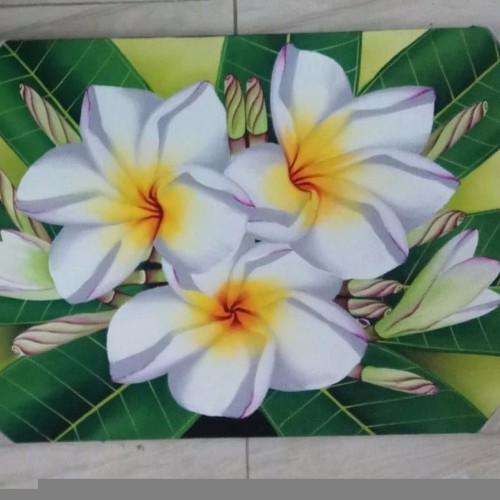 Detail Gambar Bunga Kamboja Hitam Putih Nomer 34