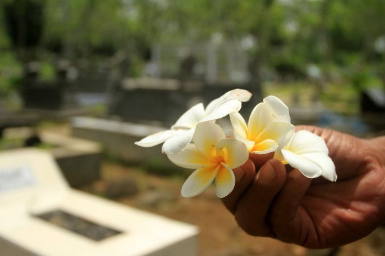 Detail Gambar Bunga Kamboja Kuburan Nomer 4