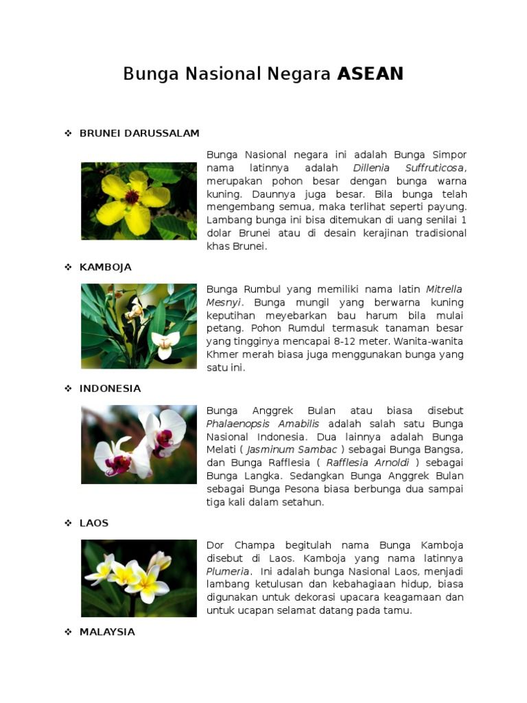 Detail Gambar Bunga Kamboja Malaysia Nomer 48