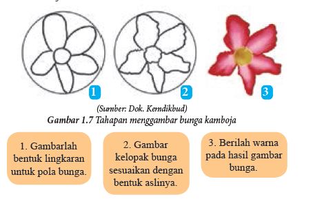 Detail Gambar Bunga Kamboja Merupakan Objek Nomer 15