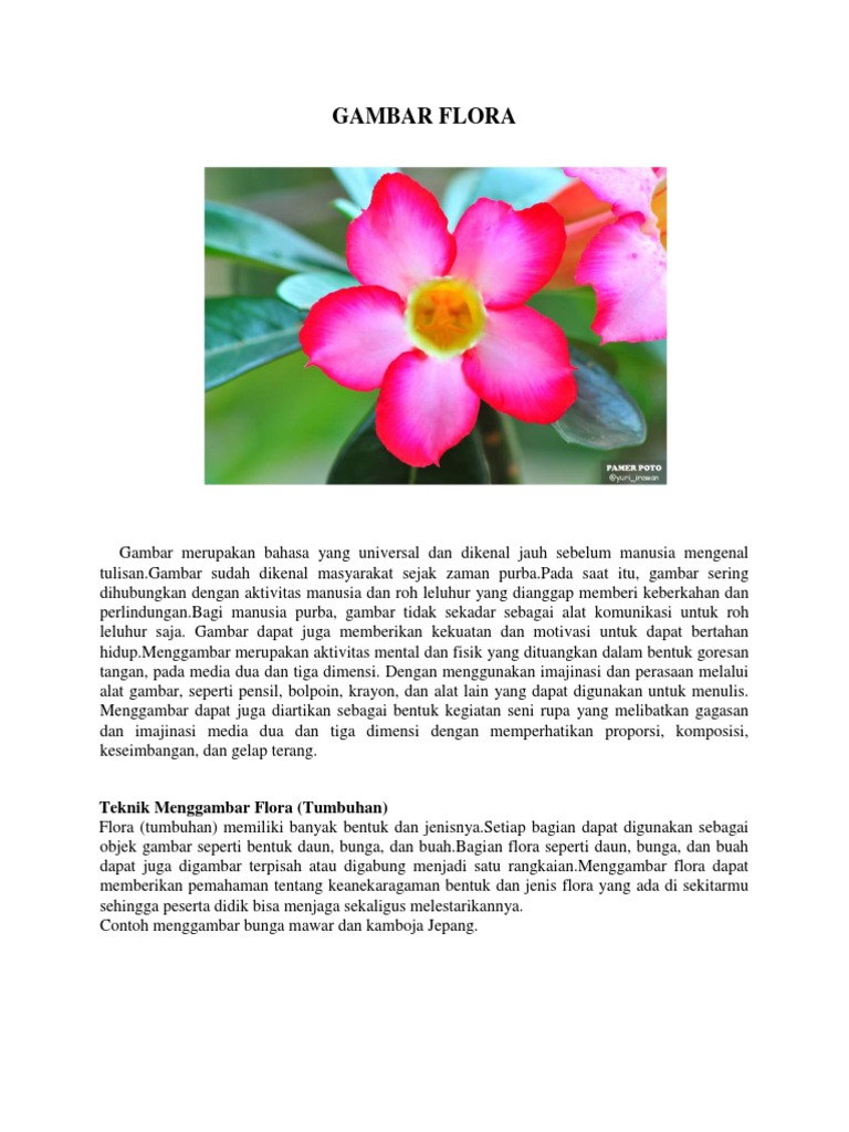 Detail Gambar Bunga Kamboja Merupakan Objek Nomer 5