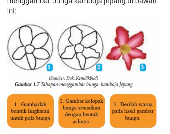 Detail Gambar Bunga Kamboja Merupakan Objek Nomer 9