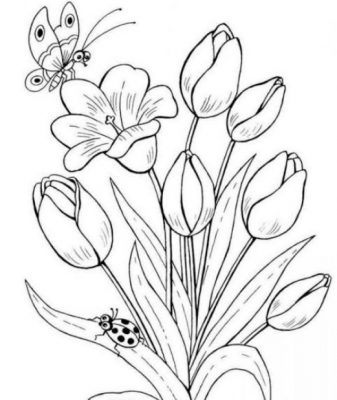 Detail Gambar Bunga Kamboja Mewarnai Nomer 31
