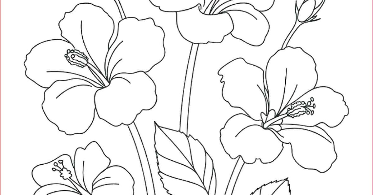 Detail Gambar Bunga Kartun Warna Hitam Nomer 20