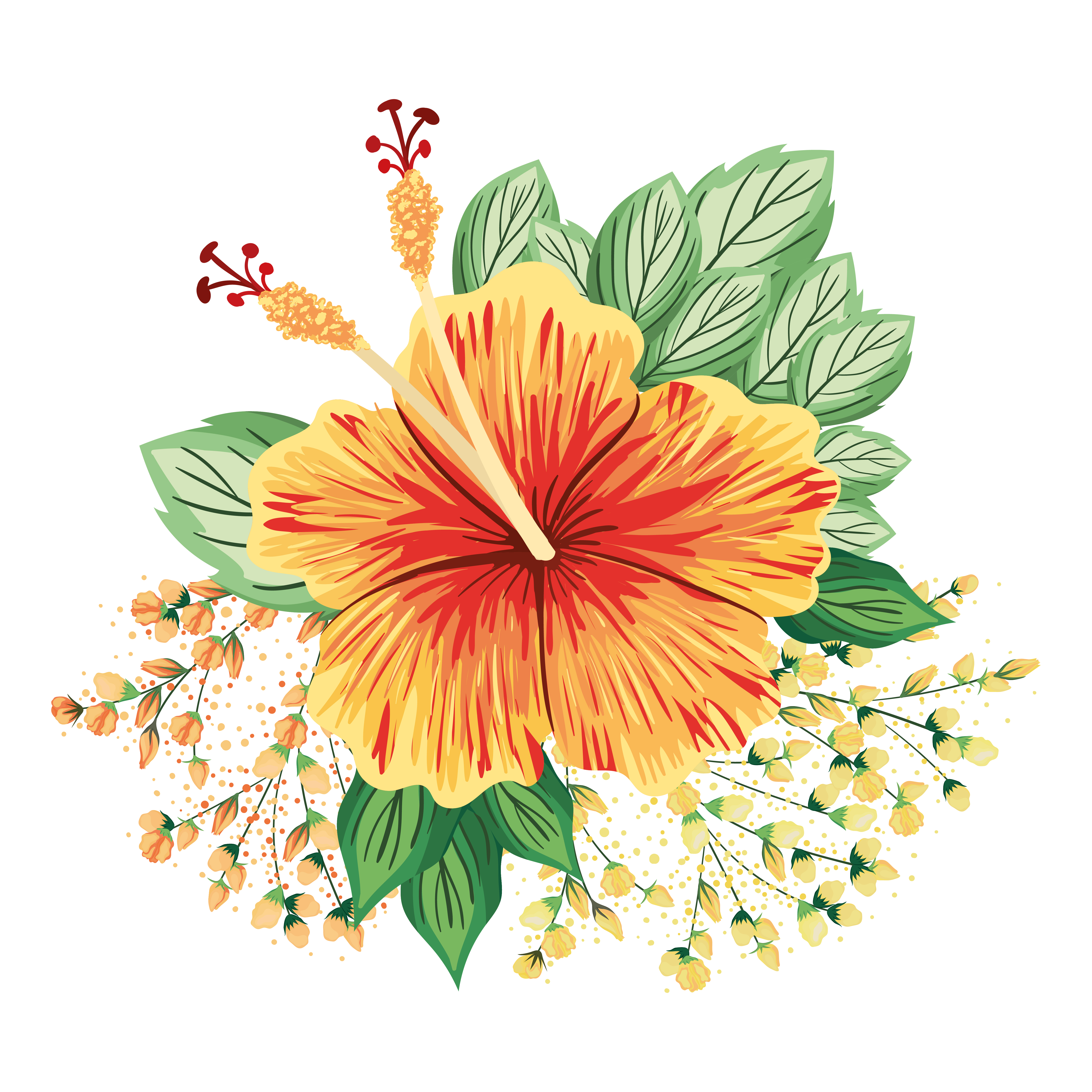 Detail Hawaiianische Blume Nomer 9