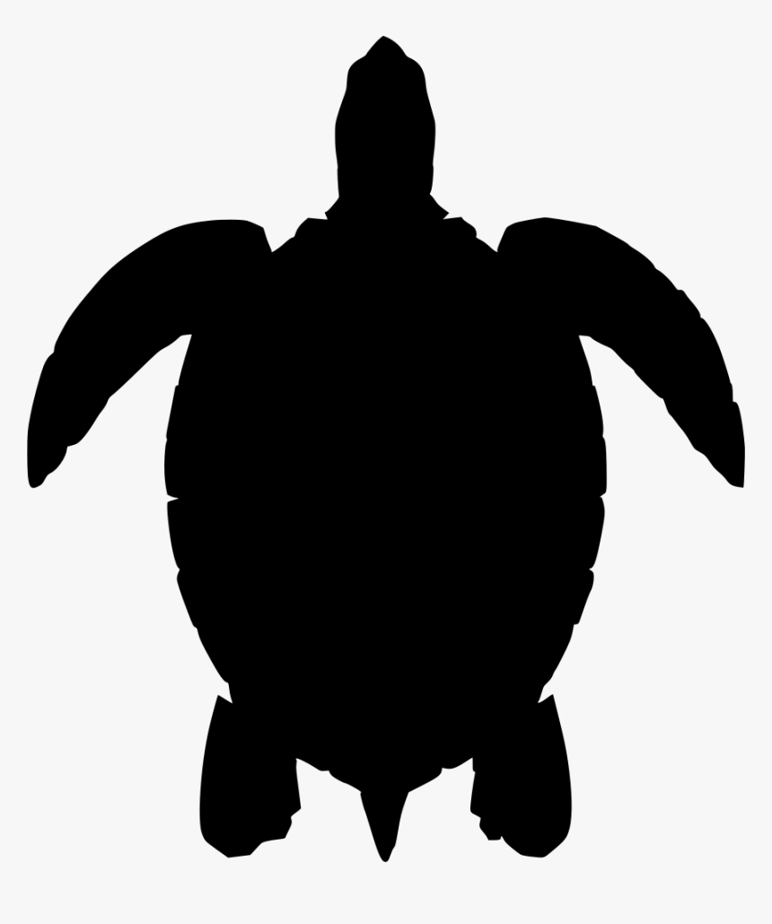 Detail Sea Turtle Black And White Nomer 12