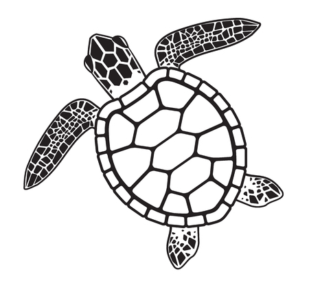 Detail Sea Turtle Black And White Nomer 16