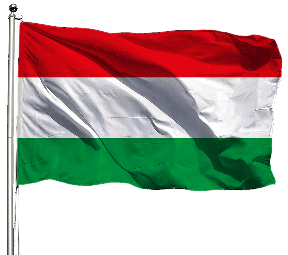 Detail Ungarn Flagge Nomer 22