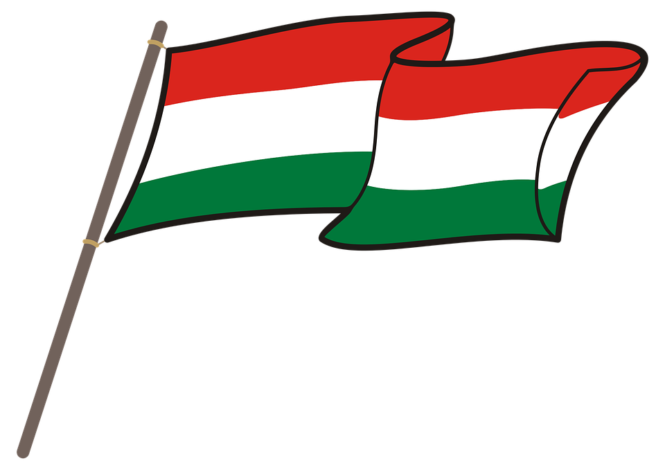 Detail Ungarn Flagge Nomer 3