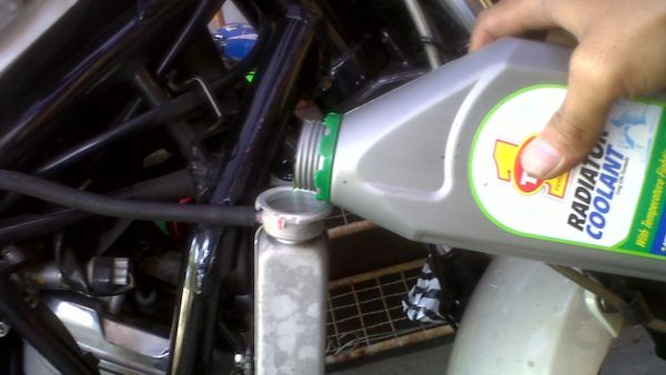 Detail Air Radiator Yang Bagus Buat Vixion Nomer 29