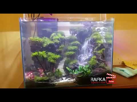 Detail Air Terjun Aquascape Terbaik Nomer 35