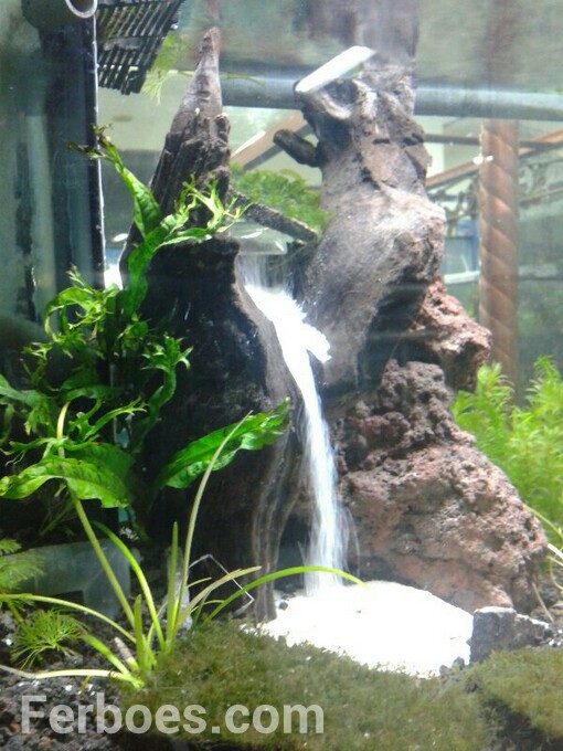 Detail Air Terjun Aquascape Terbaik Nomer 41