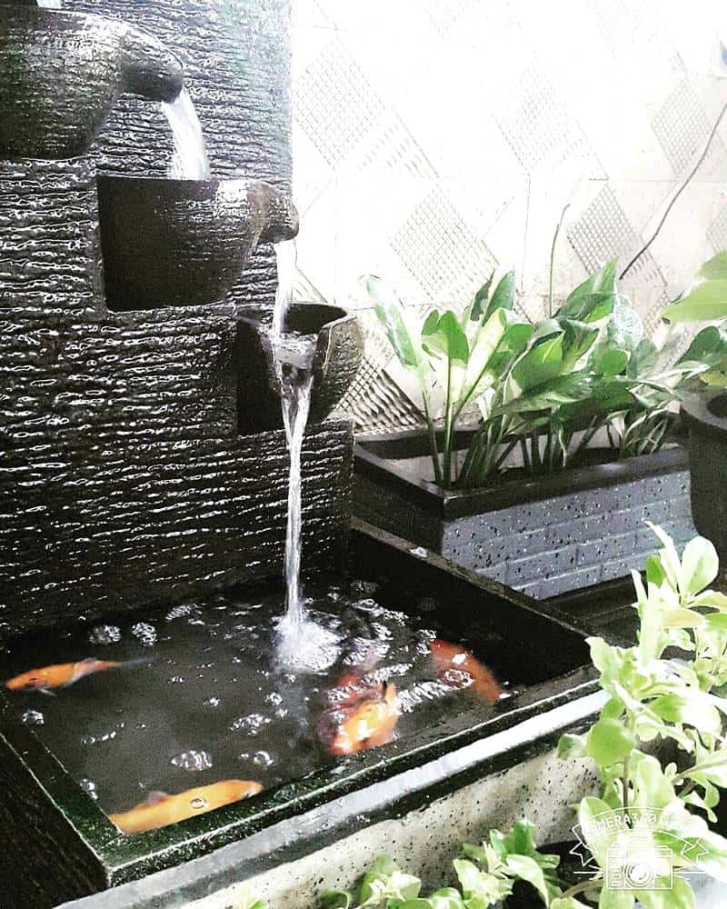 Detail Air Terjun Dinding Dalam Rumah Nomer 34