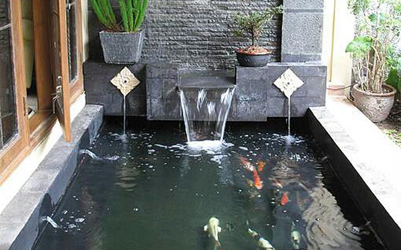 Detail Air Terjun Kolam Ikan Minimalis Nomer 13