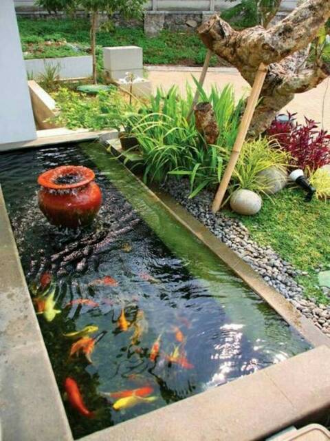 Detail Air Terjun Kolam Ikan Minimalis Nomer 48