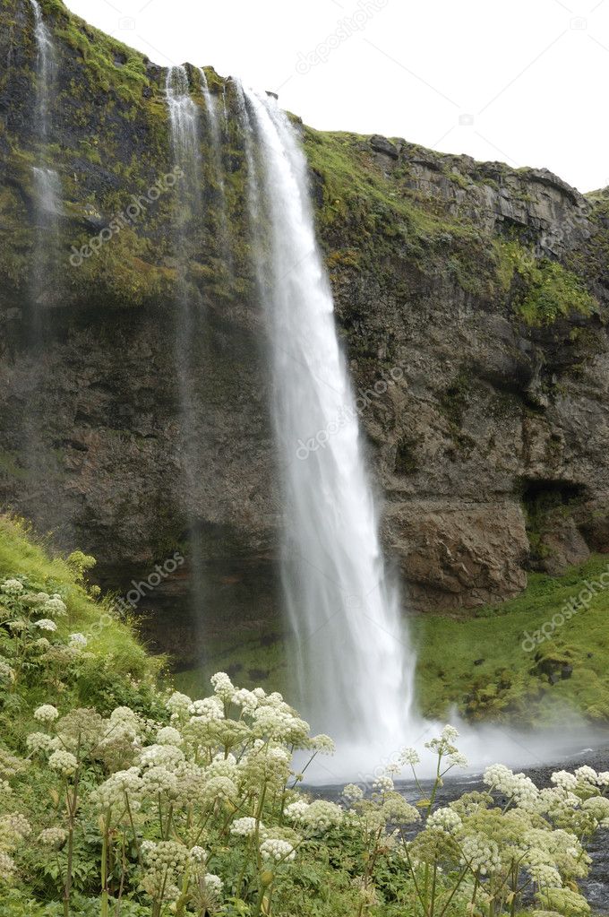 Detail Air Terjun Seljalandsfoss Di Islandia Nomer 32