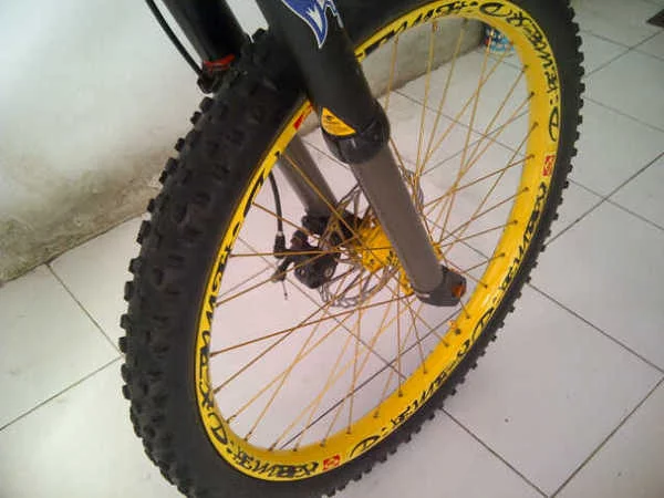 Detail Airbrush Sepeda Mtb Nomer 43
