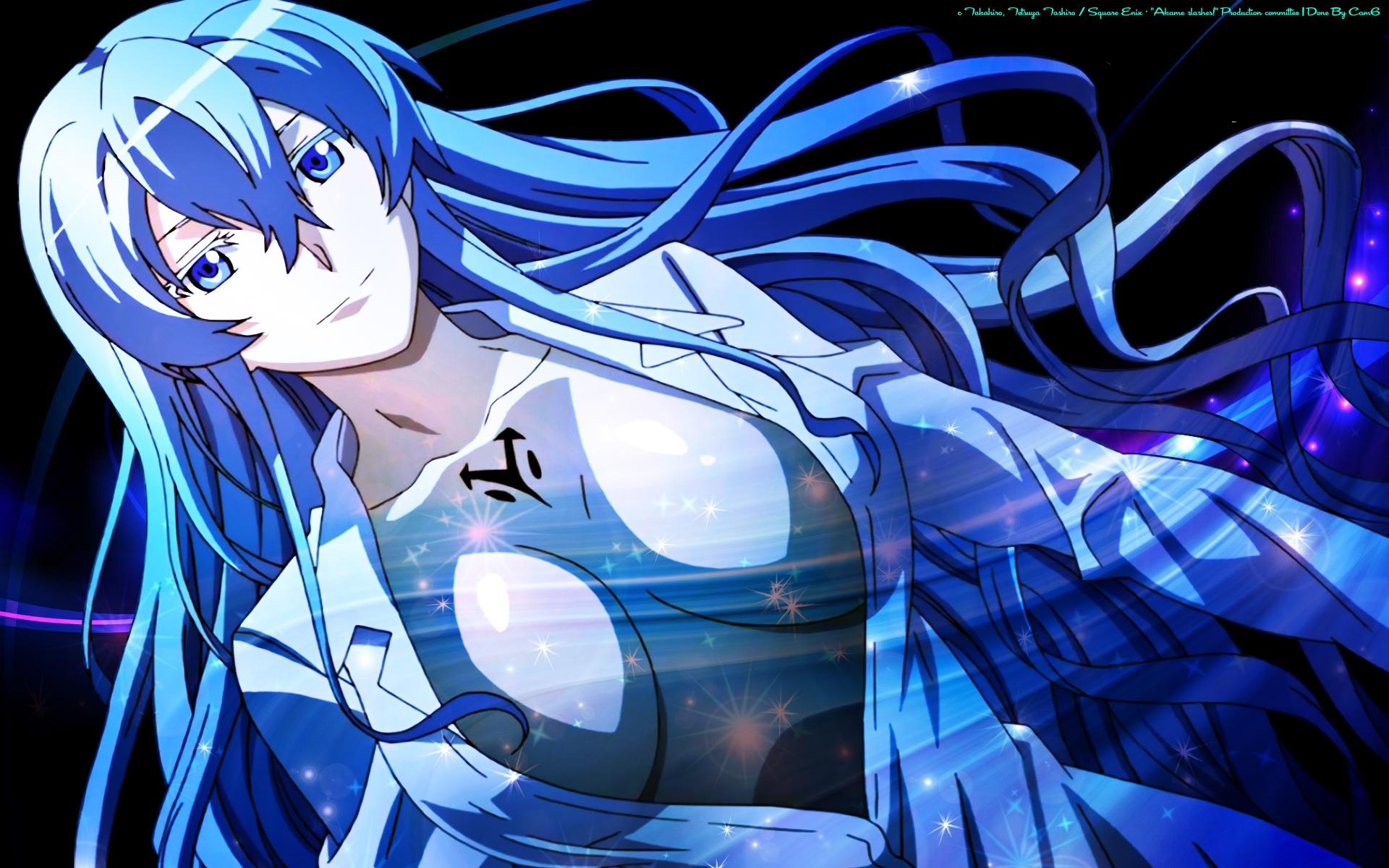 Detail Akame Ga Kill Esdeath Wallpaper Nomer 2