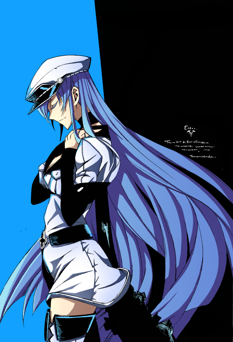 Detail Akame Ga Kill Esdeath Wallpaper Nomer 47