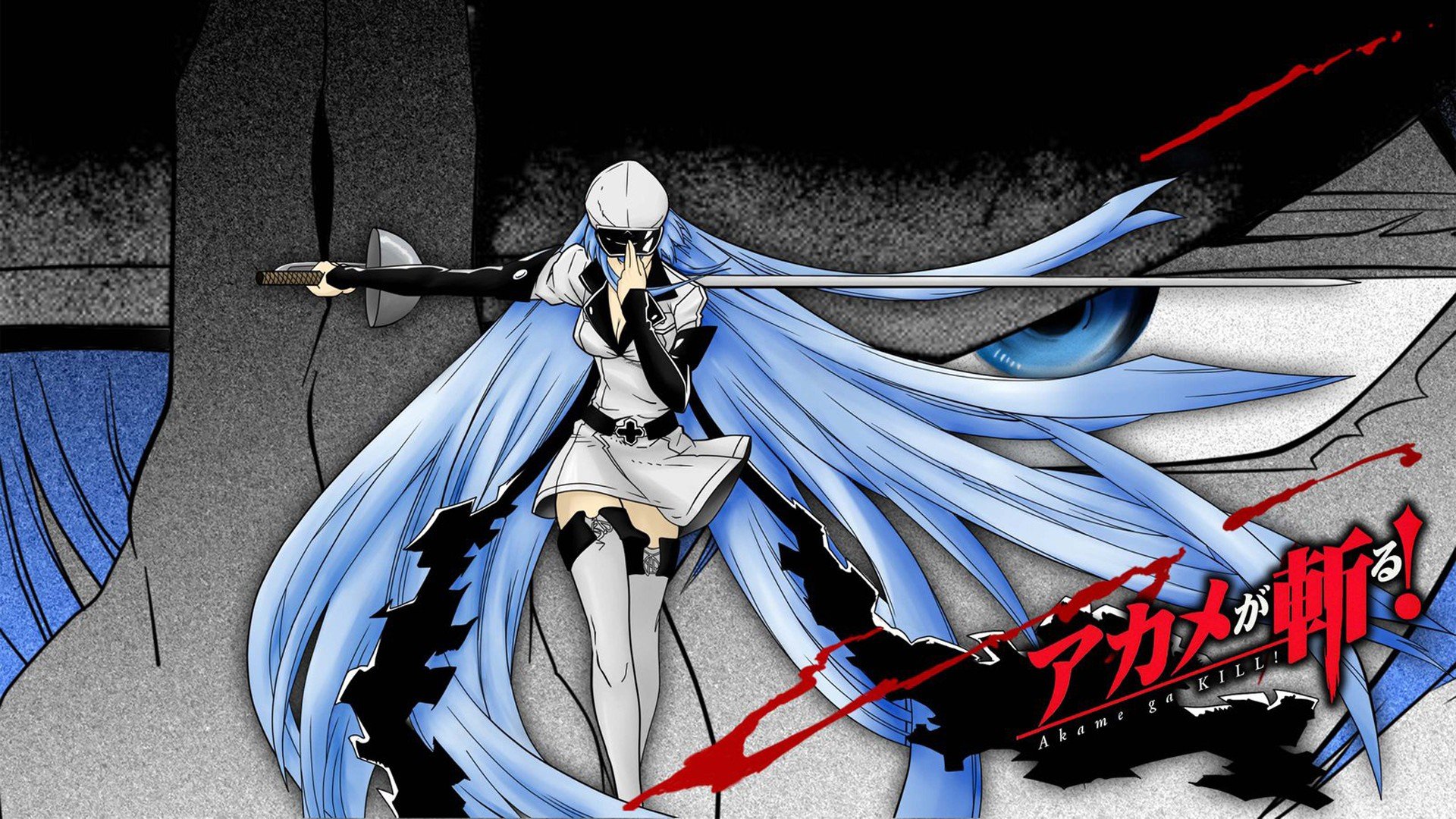 Detail Akame Ga Kill Esdeath Wallpaper Nomer 53