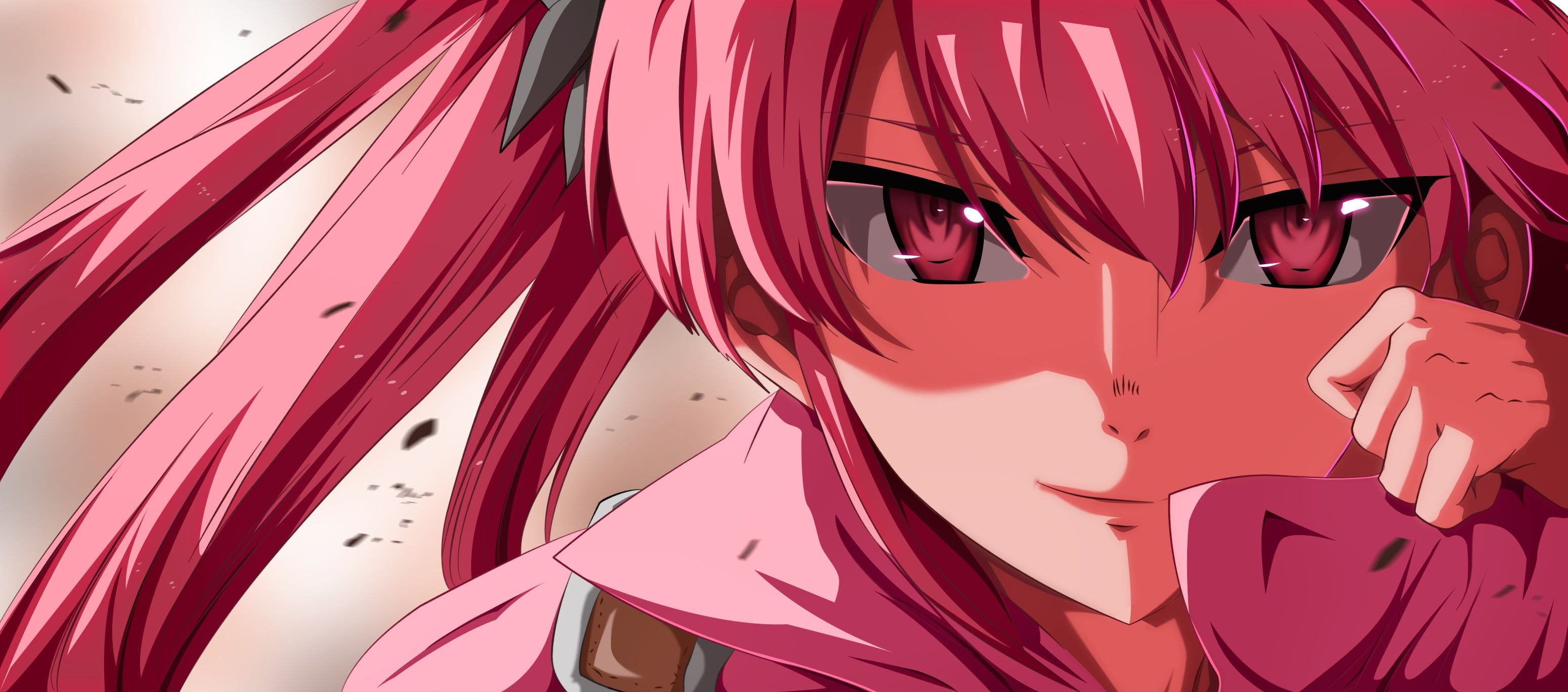 Detail Akame Ga Kill Wallpaper Nomer 24