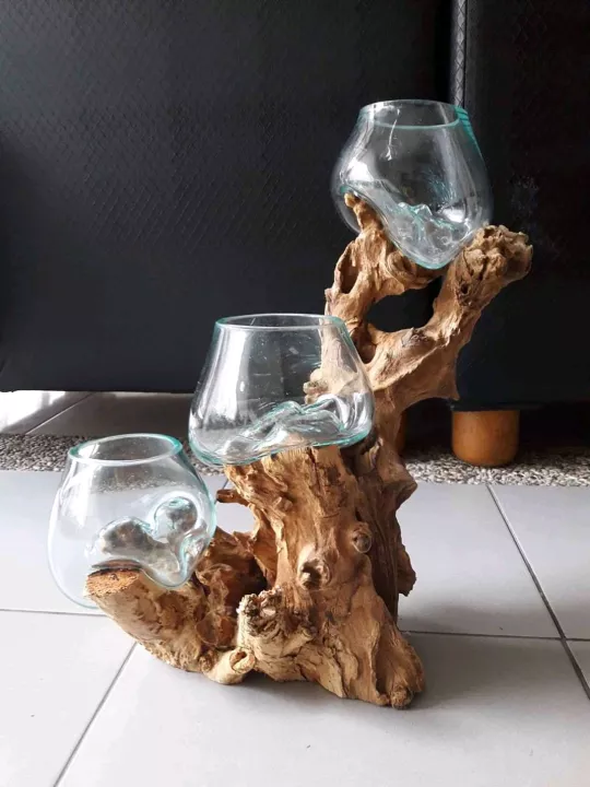 Detail Akar Aquarium Nomer 29