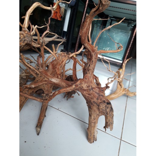 Detail Akar Kayu Aquarium Nomer 15