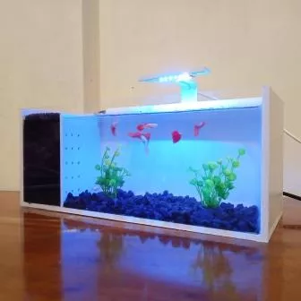 Detail Aksesoris Aquarium Mini Nomer 21