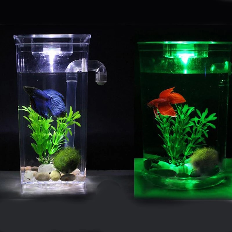 Detail Aksesoris Aquarium Mini Nomer 22