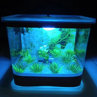 Detail Aksesoris Aquarium Mini Nomer 24