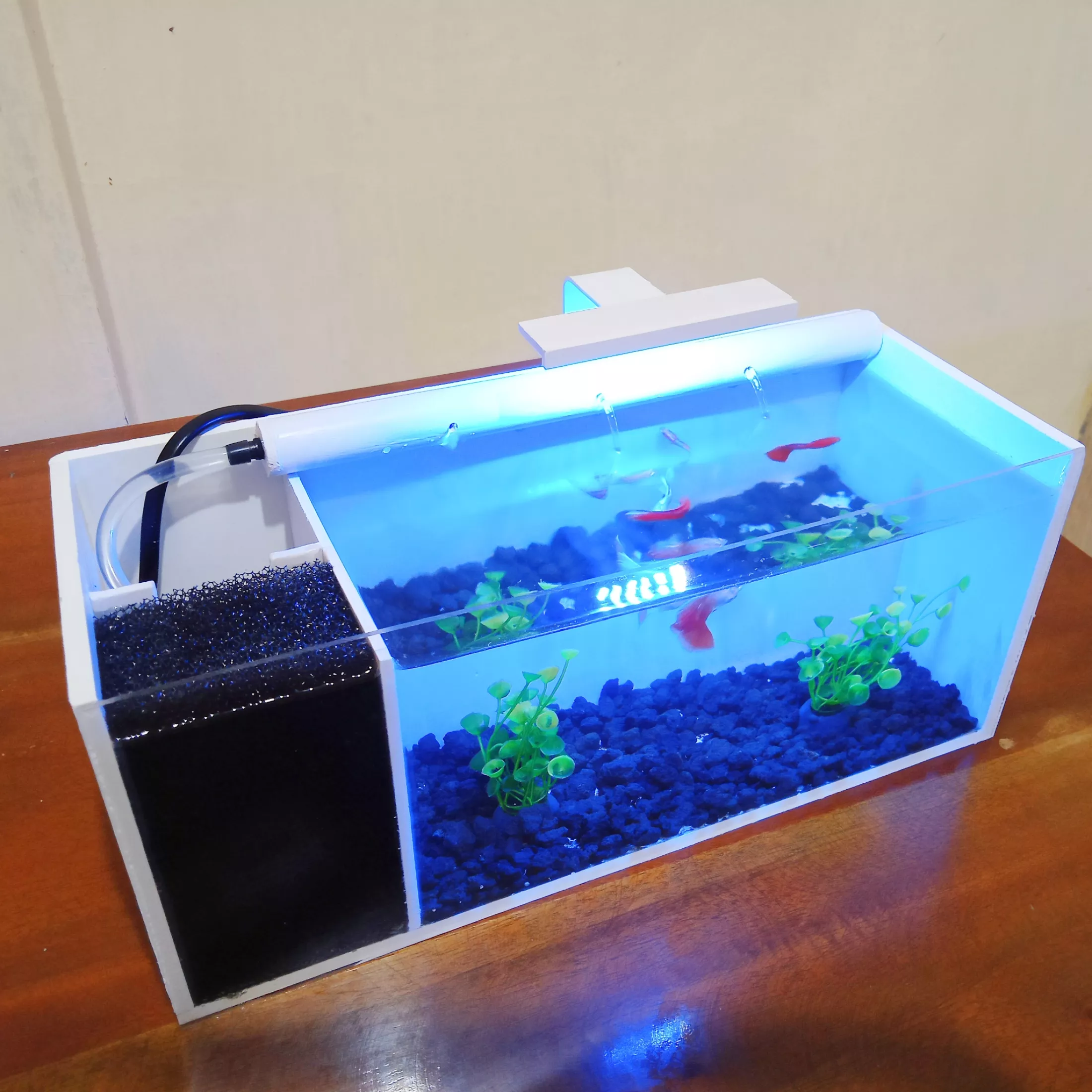 Detail Aksesoris Aquarium Mini Nomer 25