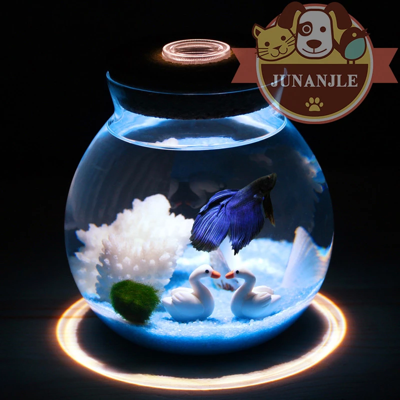Detail Aksesoris Aquarium Mini Nomer 47