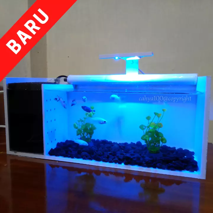 Detail Aksesoris Aquarium Mini Nomer 10