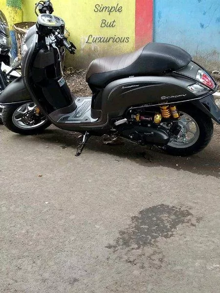 Detail Aksesoris Scoopy 2017 Nomer 11
