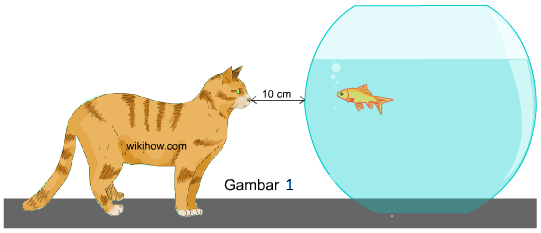 Detail Akuarium Animasi Nomer 55