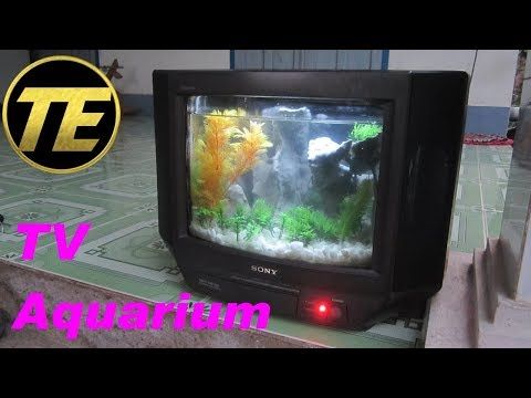 Detail Akuarium Dari Tv Nomer 14