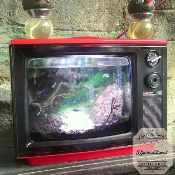 Detail Akuarium Dari Tv Nomer 45