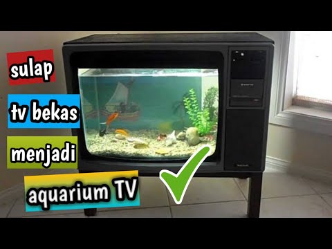 Detail Akuarium Dari Tv Nomer 6