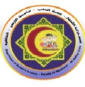 Detail Al Azhar University Logo Nomer 39