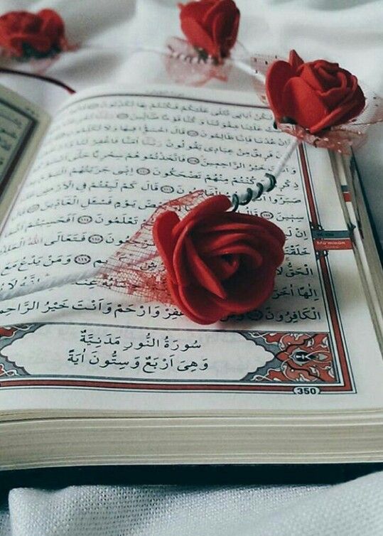 Detail Al Quran Dan Bunga Mawar Nomer 33